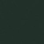 SANDERSON PAINT AMSTERDAM GREEN  66